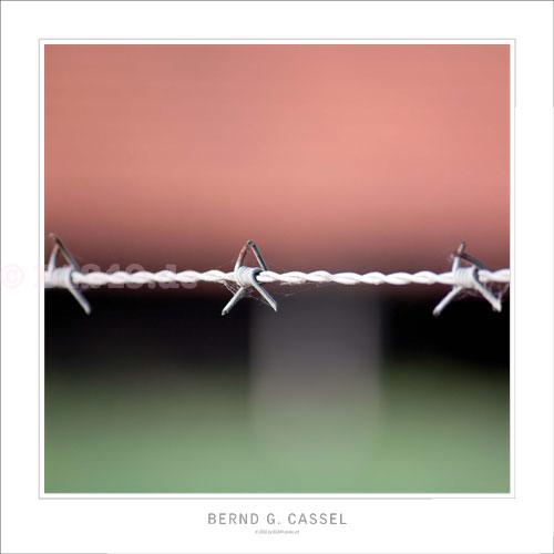 Auswahl aus dem Werk von Bernd G. Cassel
